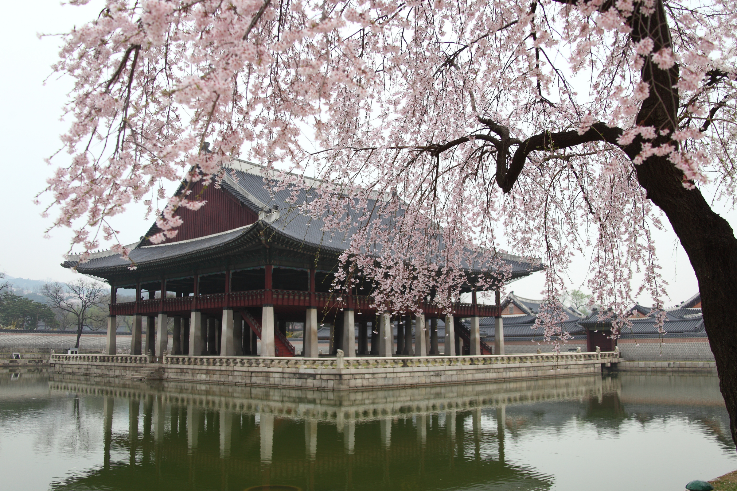 suncheon-si (3).webp